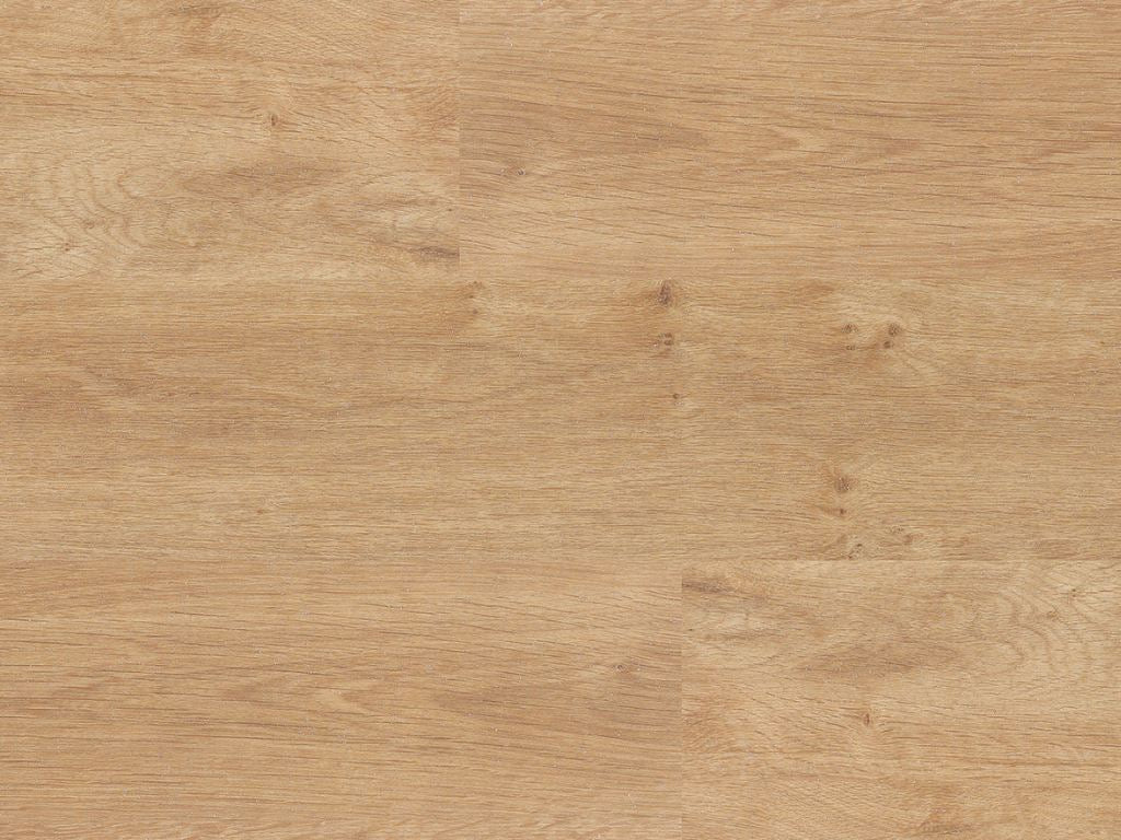 American Oak (6500)