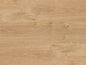 American Oak (6500)
