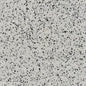 Birchwood (8991)