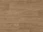 Toasted Oak (9822)