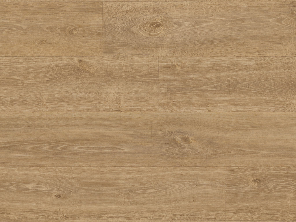 English Oak (9823)