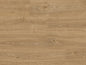 English Oak (9823)