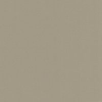 Moleskin (9975)