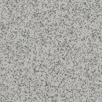 Ash Grey (4540)