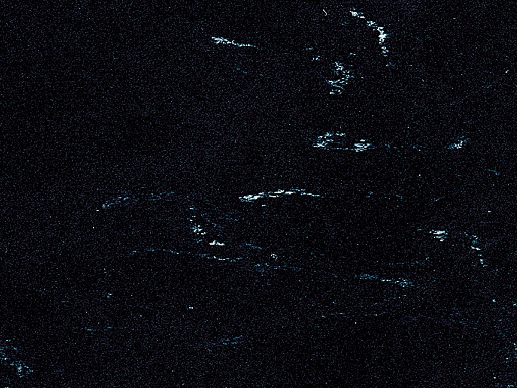 Black Panther (8640)