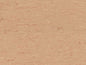 Buckwheat (8850)