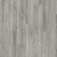 Grey Mountain Ash (4154)
