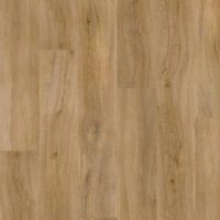 Evergreen Oak (4159)