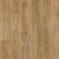 Evergreen Oak (4159)
