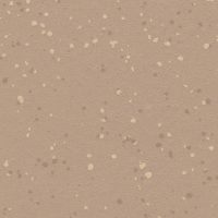 Caramel Latte (5213)