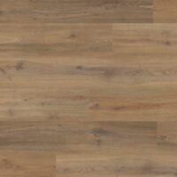 Story Oak (4389)