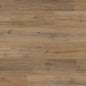 Story Oak (4389)