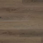 Bowland Oak (4391)
