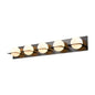 IO 5-Light Vanity Light