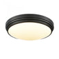 ALGOMA 17" LED FLUSH MOUNT