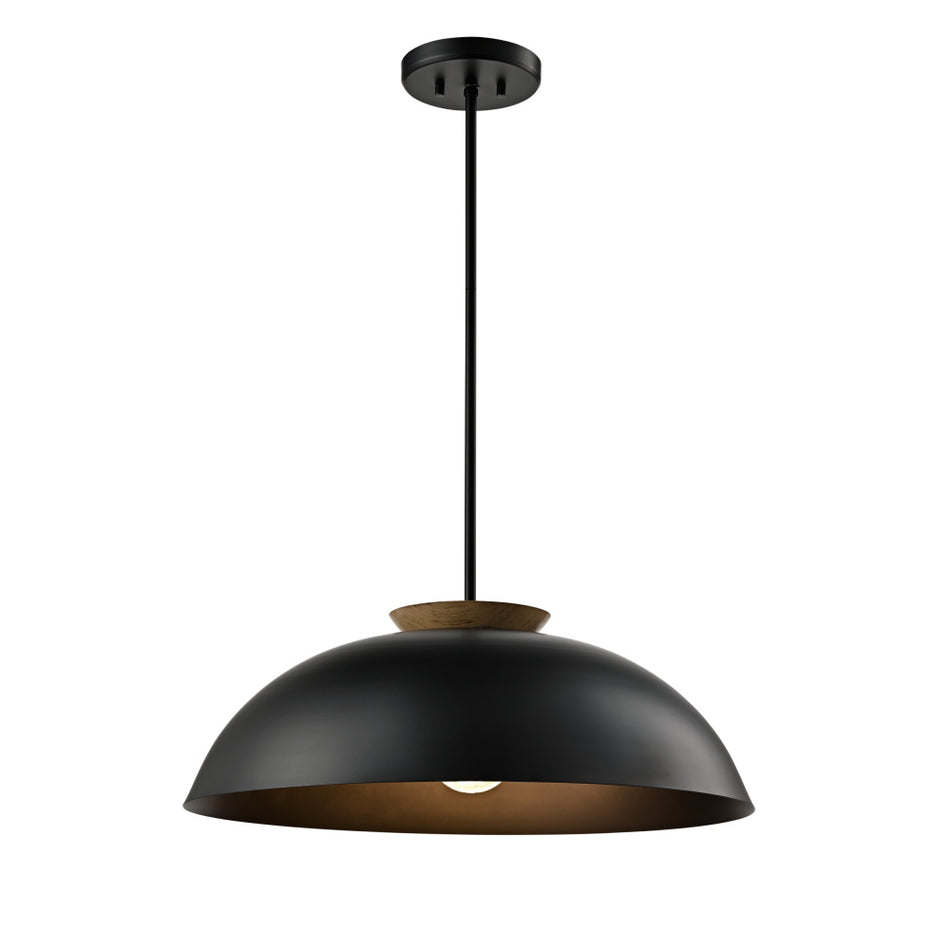 BERGEN 1 LT DUAL MOUNT