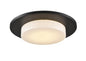 SKIMMER FLUSH MOUNT