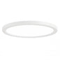 Firefly 12" LED Flushmount