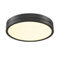 TEMAGAMI 16" LED FLUSHMOUNT