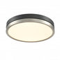 TEMAGAMI 16" LED FLUSHMOUNT