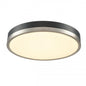 TEMAGAMI 20" LED FLUSHMOUNT