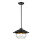 Chevalier 12 Inch Pendant