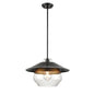 Chevalier 17 Inch Pendant