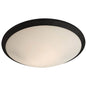Essex 2 Light Flush Mount