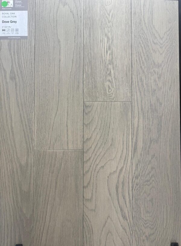 Dove Grey - Tosca Royal Oak Collection 3/4"x6" Engineered Hardwood
