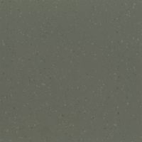 Dried Tarragon (8644)