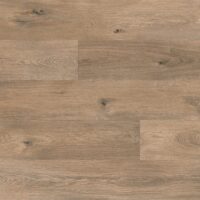 Bracken Oak (9674)