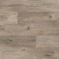Borough Oak (9676)