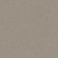 Pebble (9691)