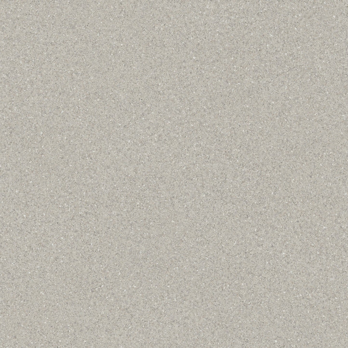 Oyster (9693)