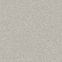 Oyster (8962)