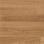 European Oak (3342)