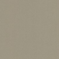 Moleskin (9841)