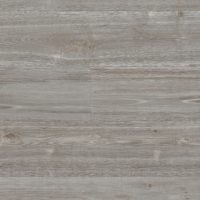 Silver Oak (9826)
