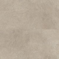 Fossil Limestone (4537)