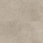 Fossil Limestone (4537)
