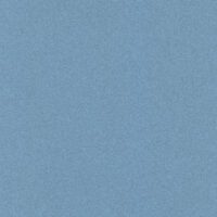 Paddlestone (6276)