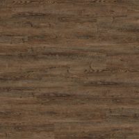 Huckleberry Oak (9882)
