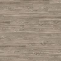 Light Elm (6182)