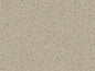 Wild Mushroom (4600)