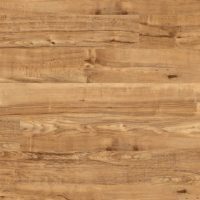Nut Tree (2202)