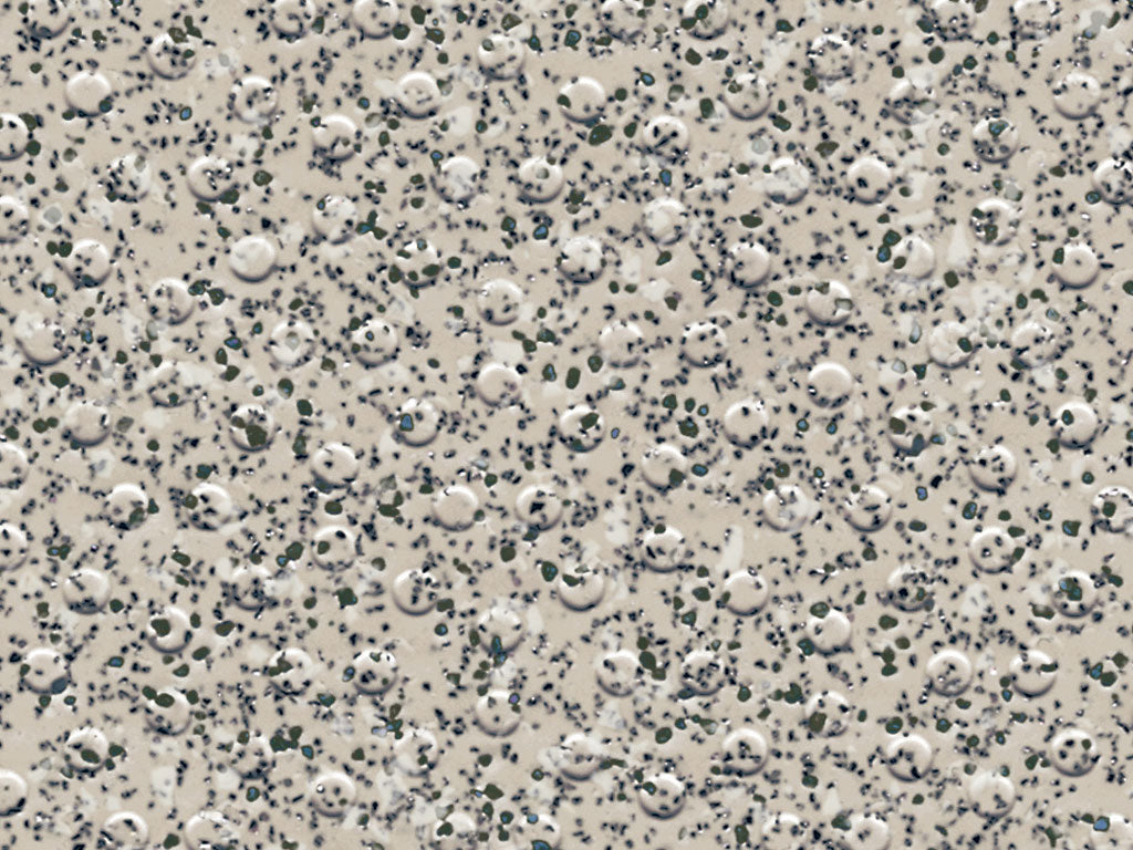 Oystershell (H4800)