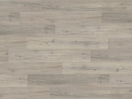 Westchester Oak (PLK2253)