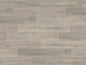 Westchester Oak (PLK2253)