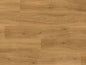 Schoolhouse Oak (4434)