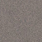Siltstone 4205 ((Apex55))